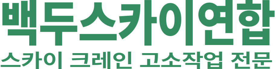 백두스카이연합 로고 이미지
