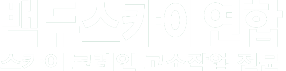 백두스카이연합 화이트 로고 이미지